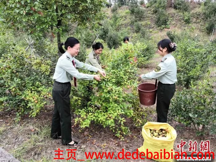 油茶是怎么做的