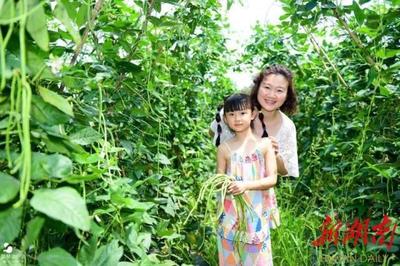 油茶是怎么做的