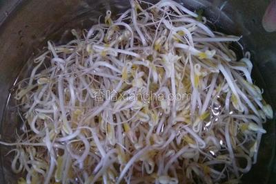如何发绿豆芽