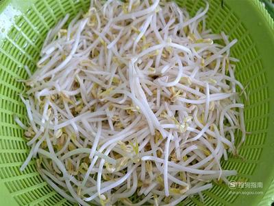 如何发绿豆芽