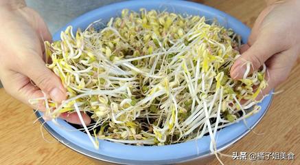 如何发绿豆芽