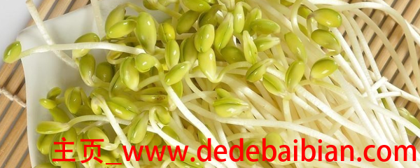 如何发绿豆芽
