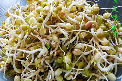 如何发绿豆芽