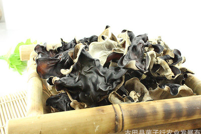 白背木耳图片