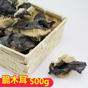 白背木耳图片