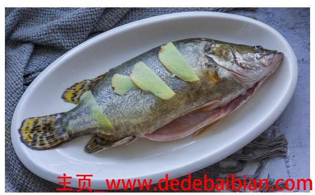 清蒸鱼需要几分钟