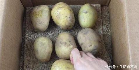 土豆最简单的保存方法