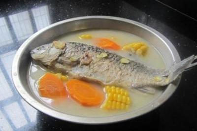 鲫鱼胡萝卜
