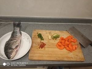 鲫鱼胡萝卜
