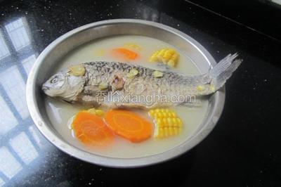 鲫鱼胡萝卜