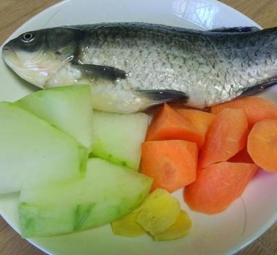 鲫鱼胡萝卜
