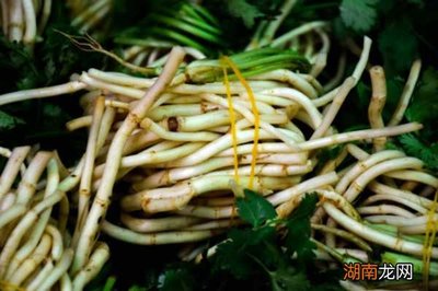 鱼腥草叶子怎么做好吃