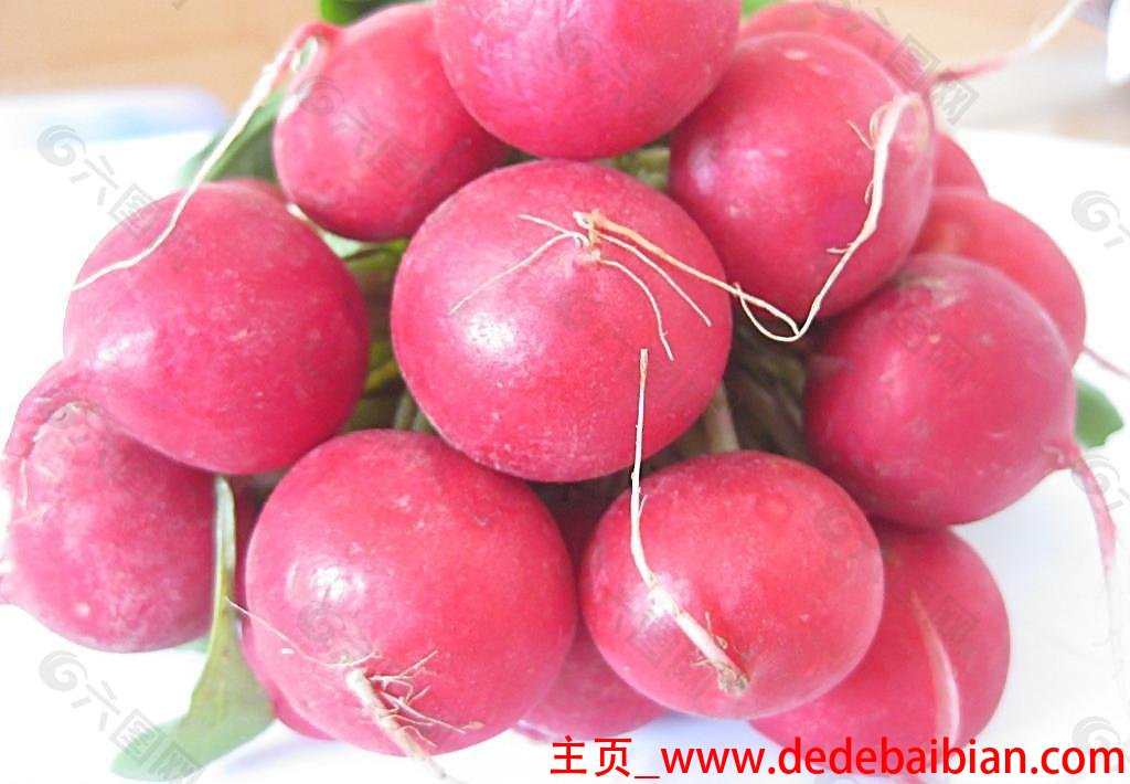 小水萝卜图片