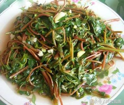 根的菜怎么做好吃