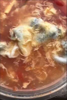 产妇能吃西红柿鸡蛋汤吗