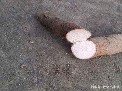 莲藕晒干后怎么吃