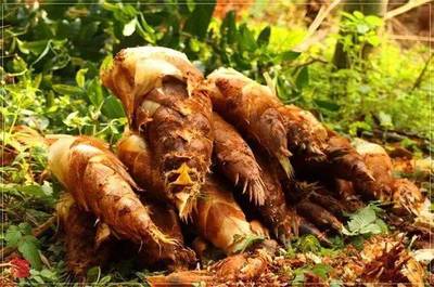 宜兴乌米饭的营养价值