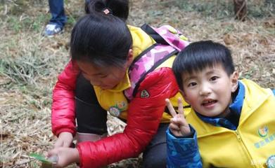 宜兴乌米饭的营养价值