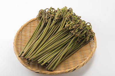蕨菜是什么菜