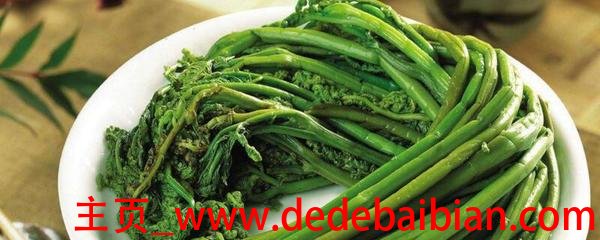 蕨菜是什么菜