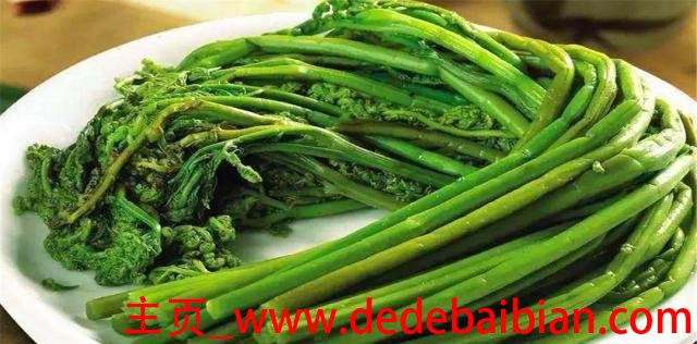 蕨菜是什么菜