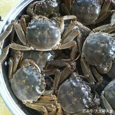 河里的螃蟹