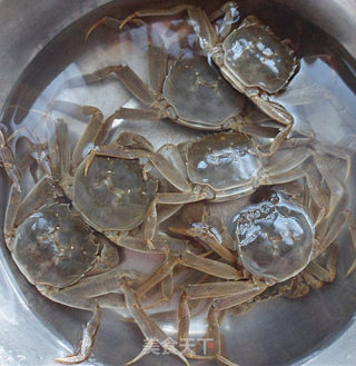 河里的螃蟹
