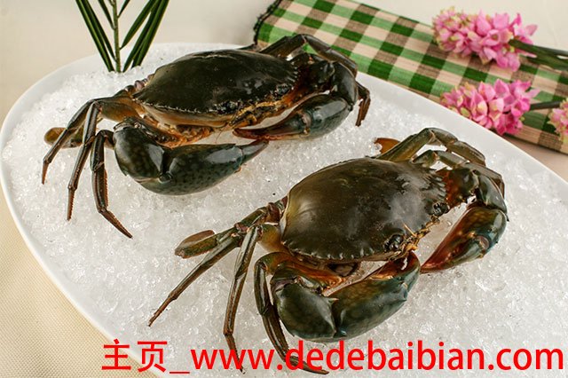 青蟹的营养价值