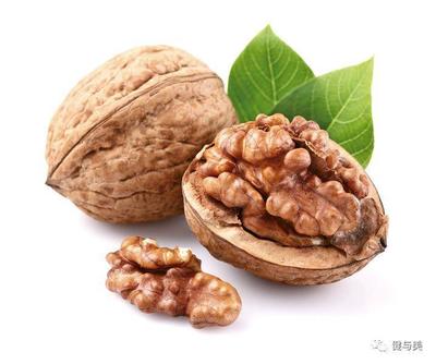 降低胆固醇速效食谱