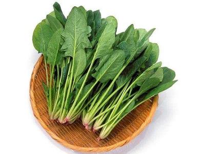 血压高吃什么菜