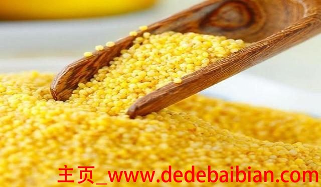 小米的营养价值及功效与禁忌