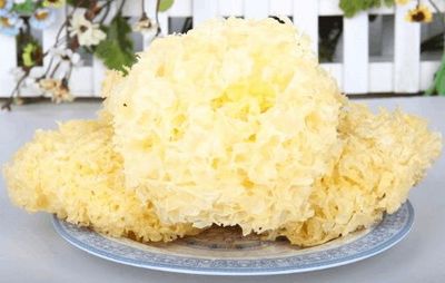 银耳一泡就软好不好
