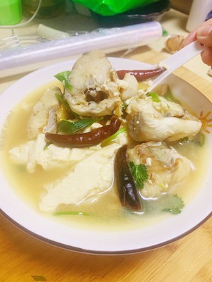 鳕鱼炖豆腐的家常做法