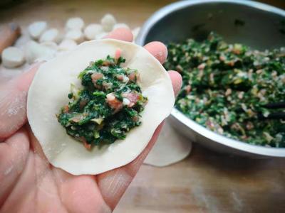 荠菜配什么包饺子好吃
