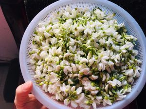 蒸洋槐花的做法大全