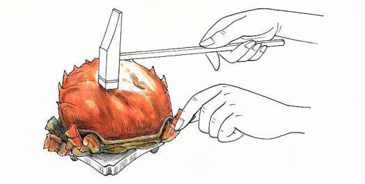 古代人吃螃蟹吗