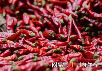 干辣椒酱怎么做
