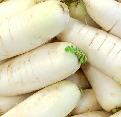 白萝卜的作用与功效