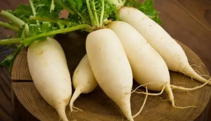 白萝卜的作用与功效