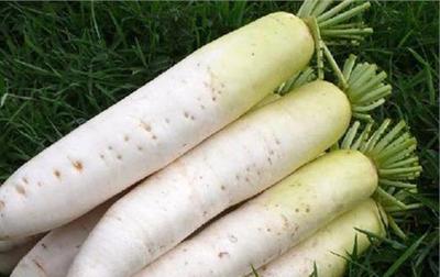 白萝卜的作用与功效