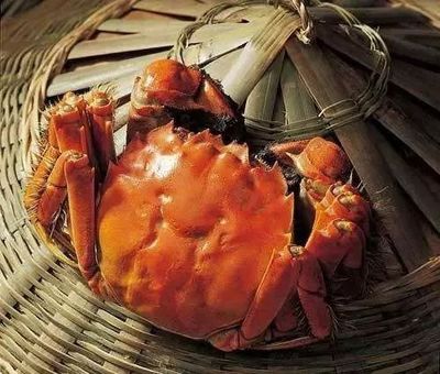 螃蟹要怎么做好吃