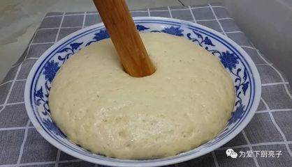 小麦粉烙饼的做法大全