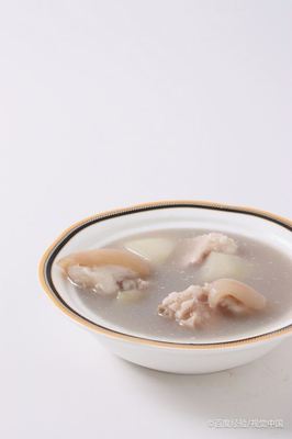 白萝卜怎么做汤好吃