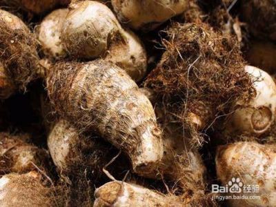 毛芋头的功效与作用
