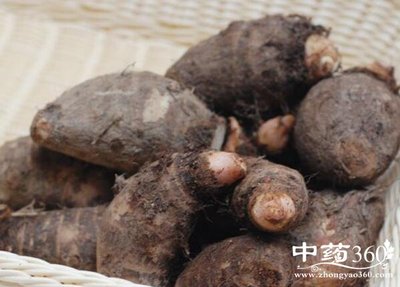 毛芋头的功效与作用