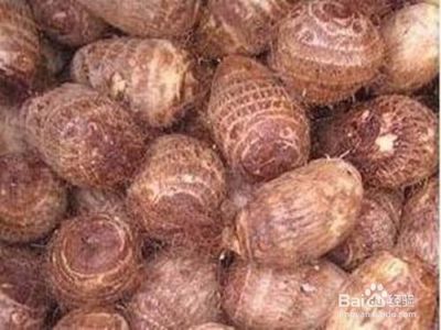 毛芋头的功效与作用