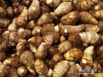 毛芋头的功效与作用