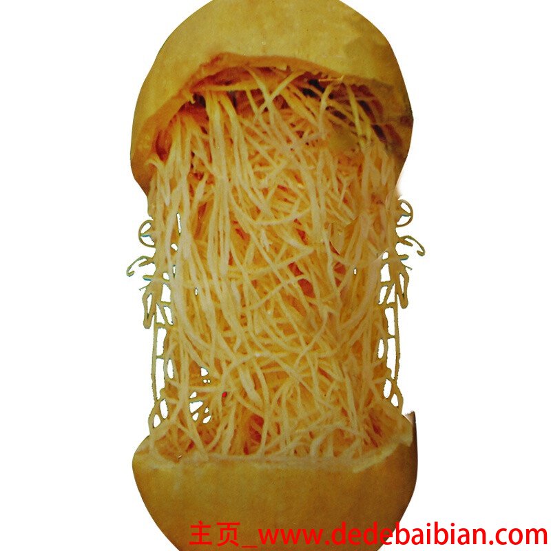 面条瓜