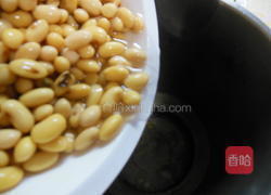 核桃花生豆浆的做法