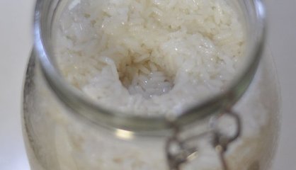 正宗甜酒酿的做法视频